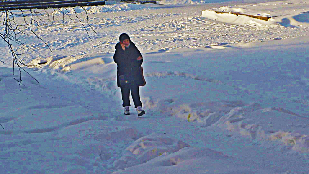 Эх,и в мороз поговорю-ка с подругой по сотовому! - Владимир 