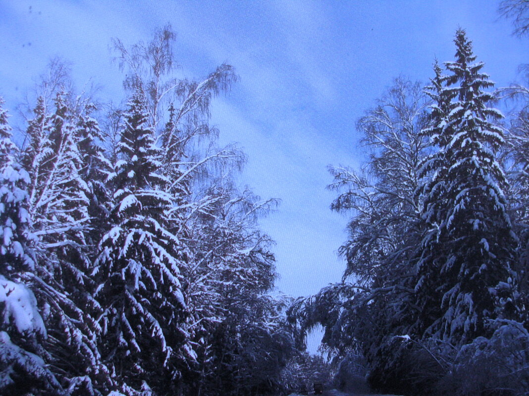 Красота зимы - Людмила Смородинская