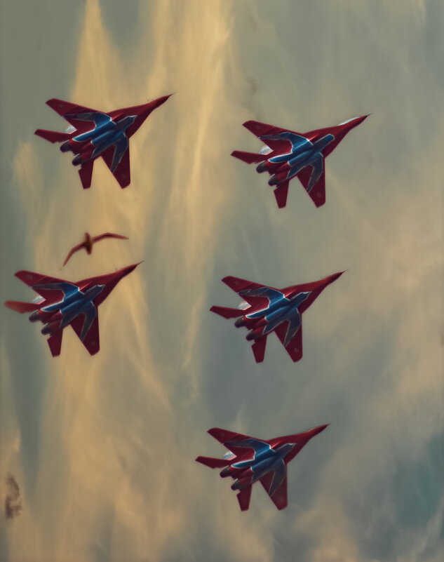 Стрижы - Андрей C