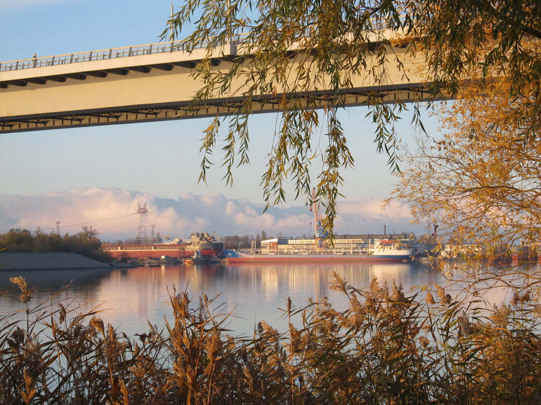 ....... - Елена Шаламова