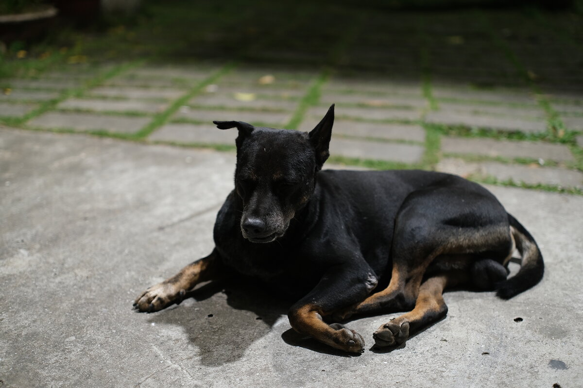 Устал - Dmitry i Mary S