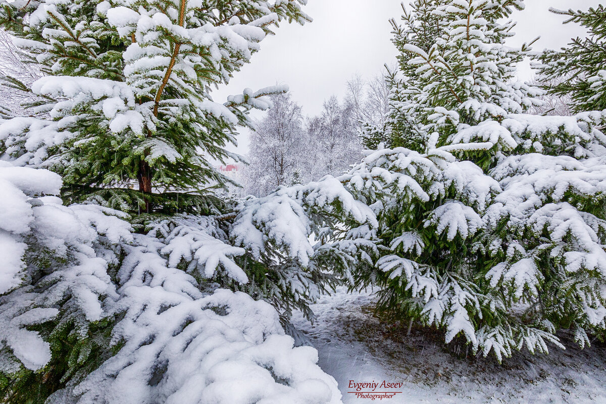 Припорошило - Евгений 