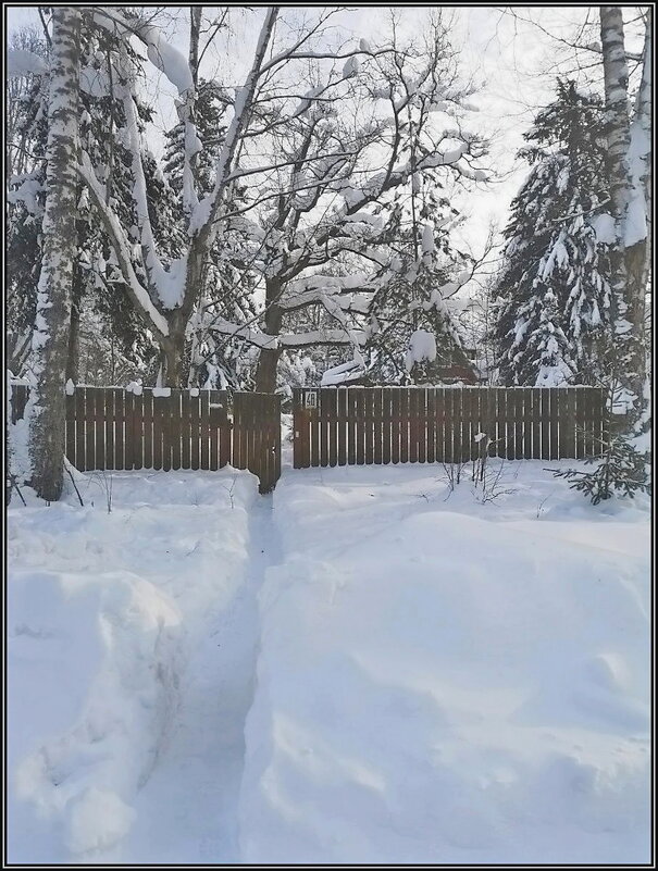 Дачные зарисовки - Ольга Довженко