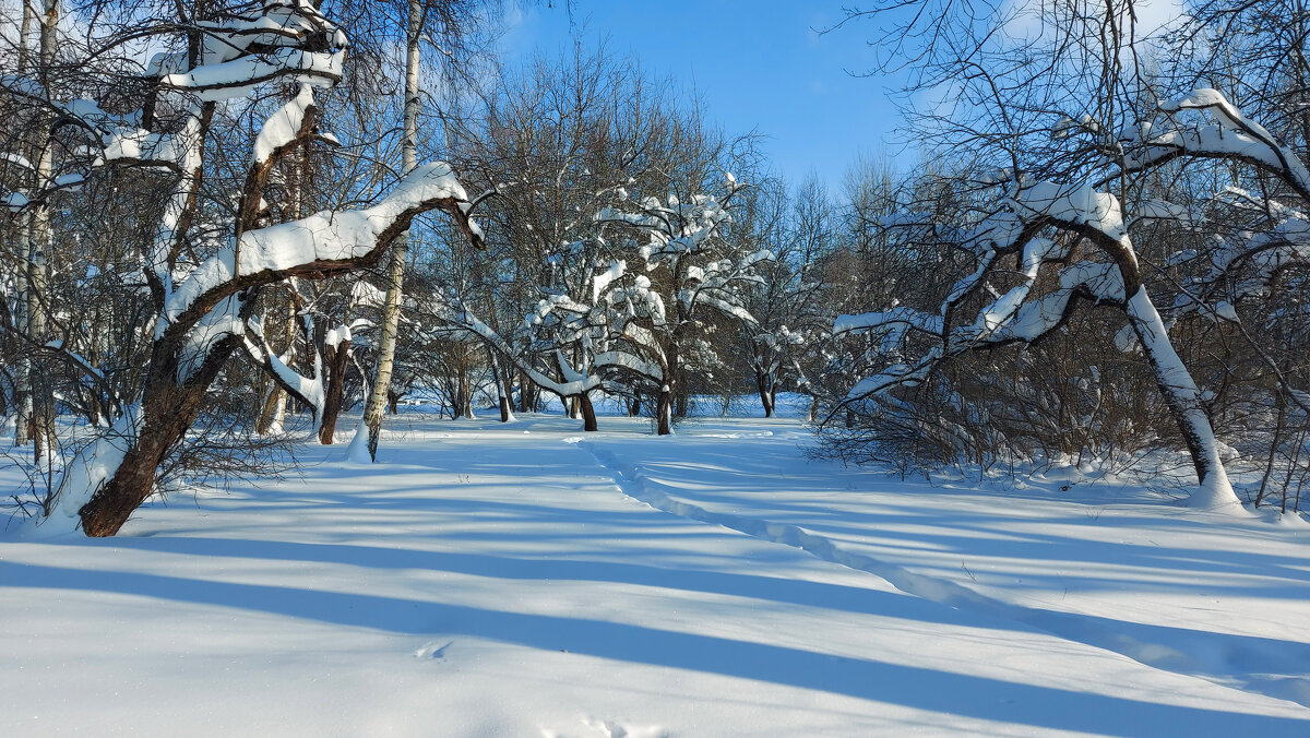 *** - Владимир Безбородов