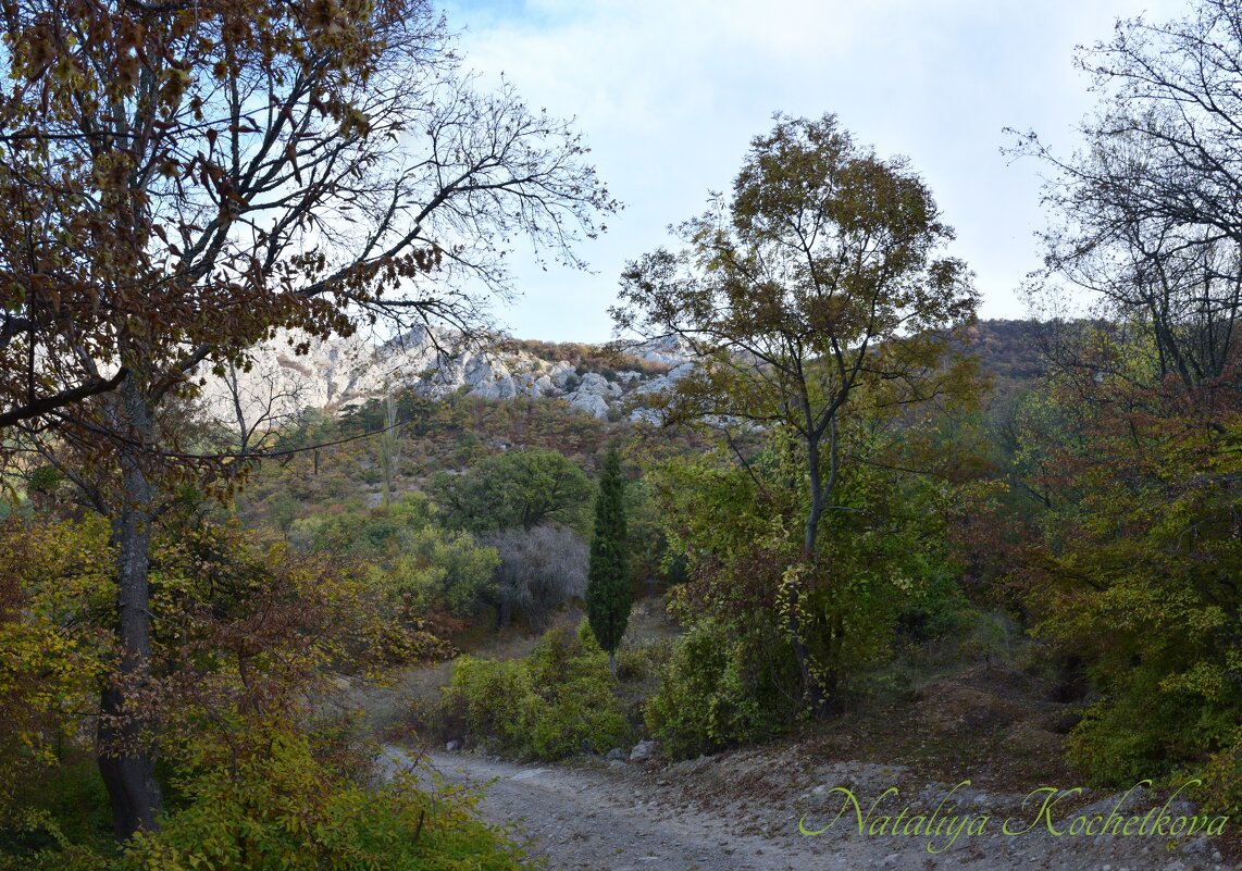 Природа Крыма - Amazing Cosmea