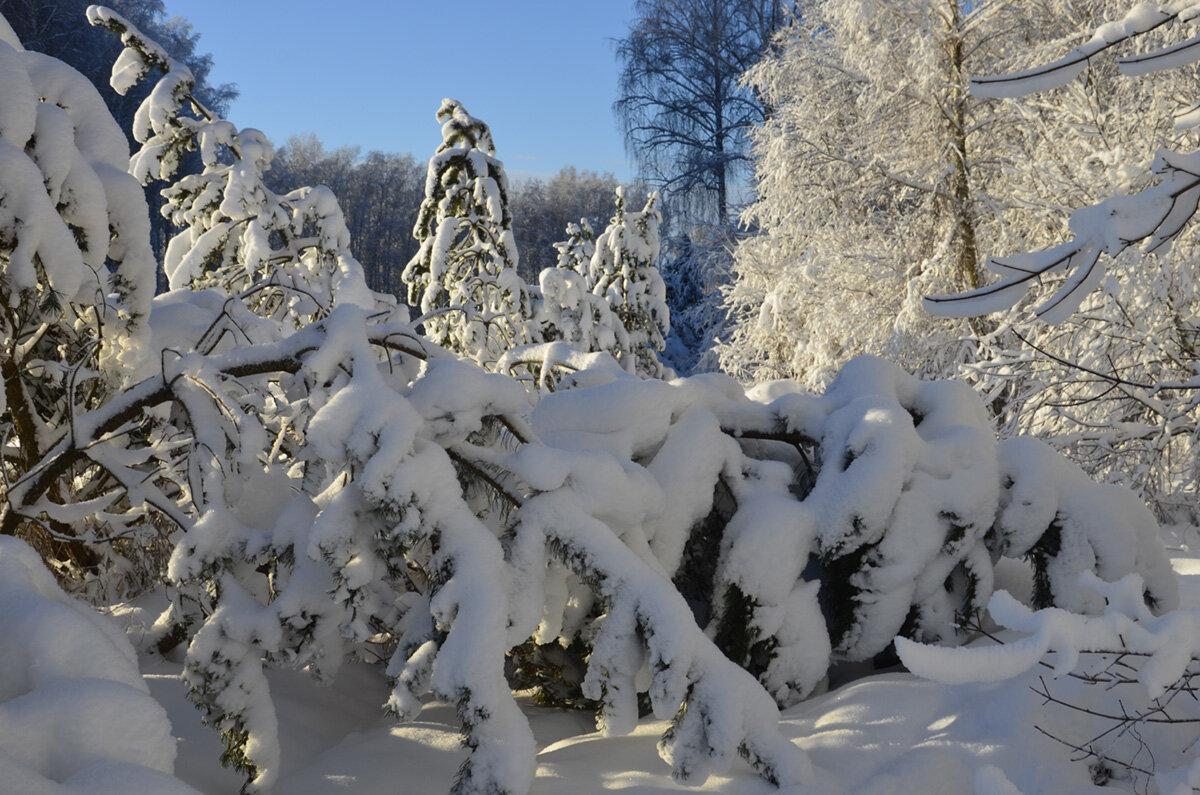 Навалило снежку - Aleksandr Gal