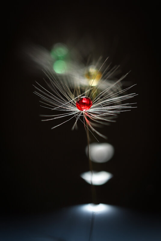 Светофор - Игорь Шевченко