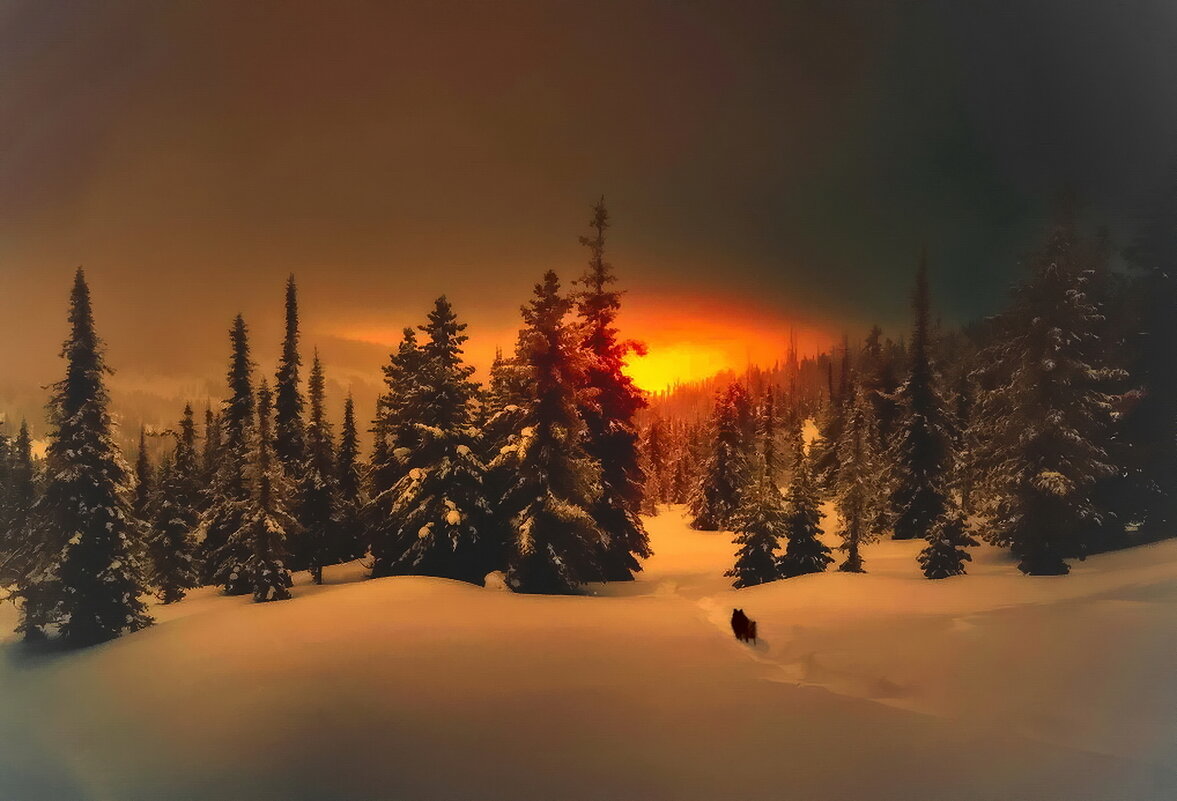 Нет , Чарли , я дальше не пойду ! - Николай Рубцов