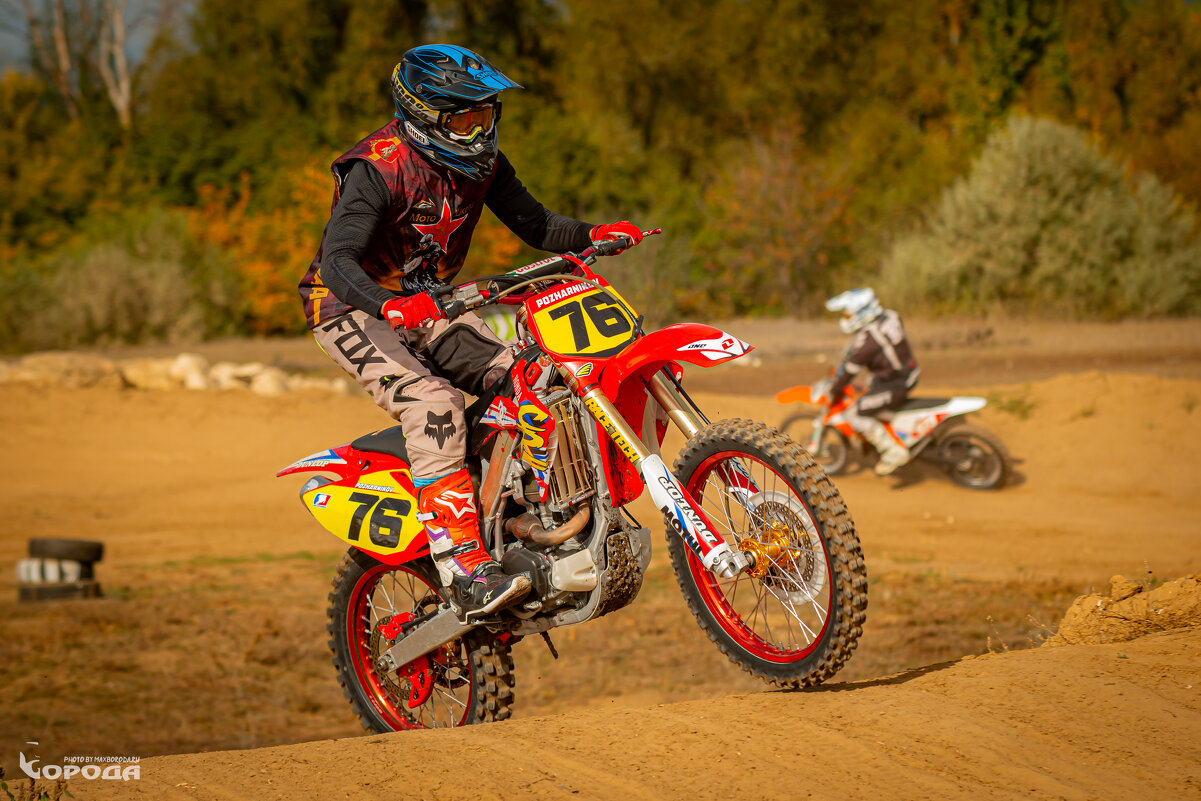 * - Макс Борода