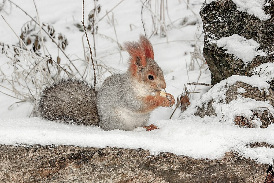 В поисках запасов - елена беликова
