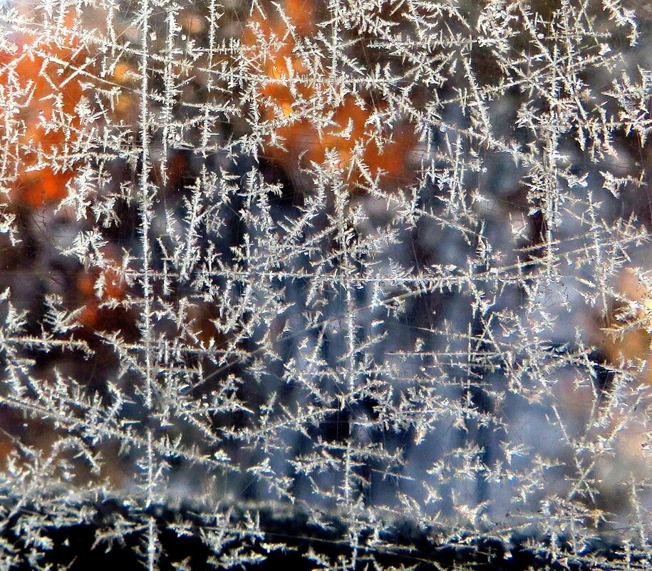 Морозный рисунок - Андрей Снегерёв