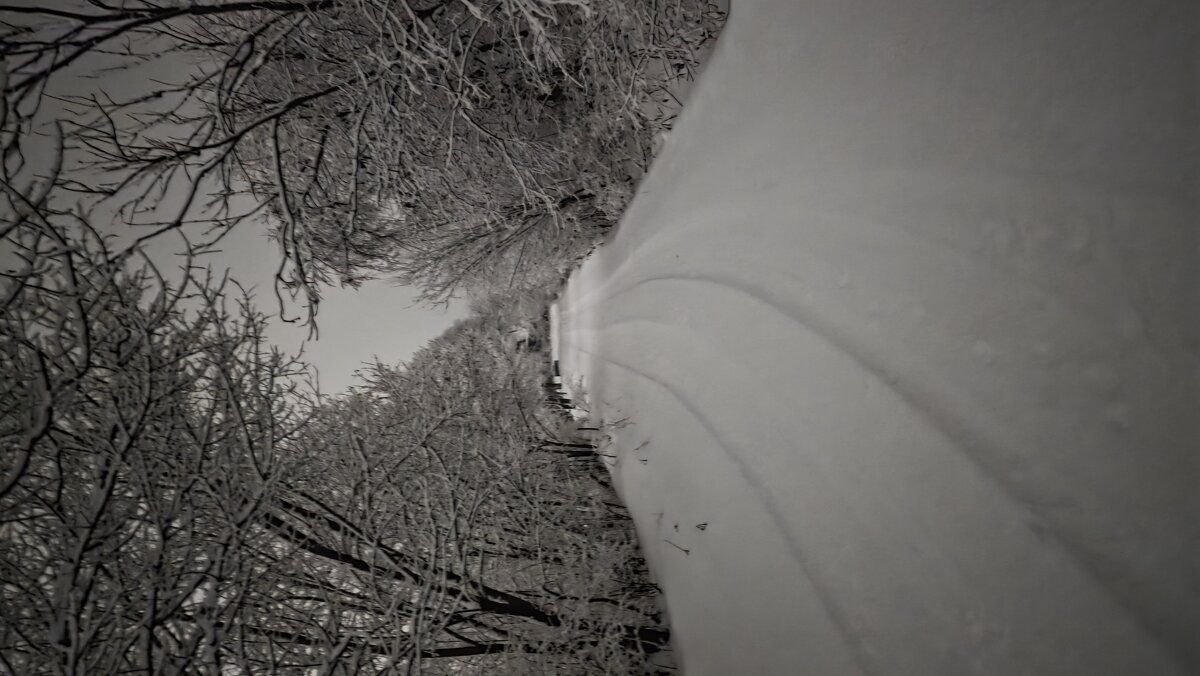 вечерняя сказка - Наталья Штанулина