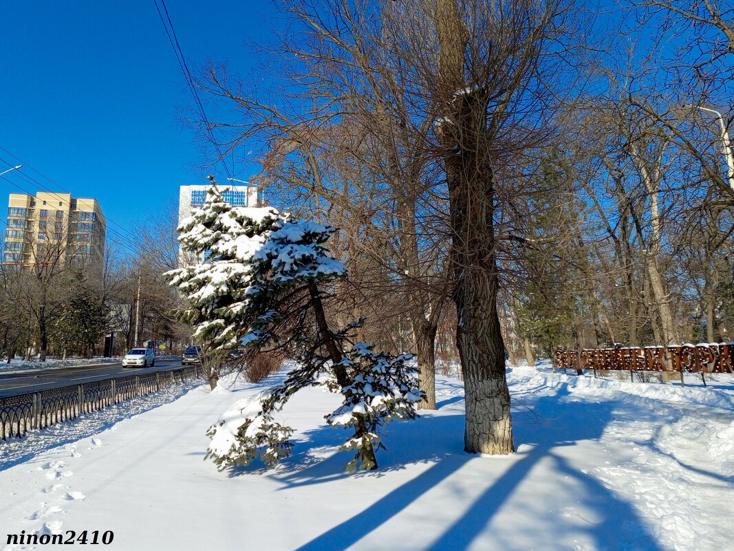 Ростовская зима - Нина Бутко