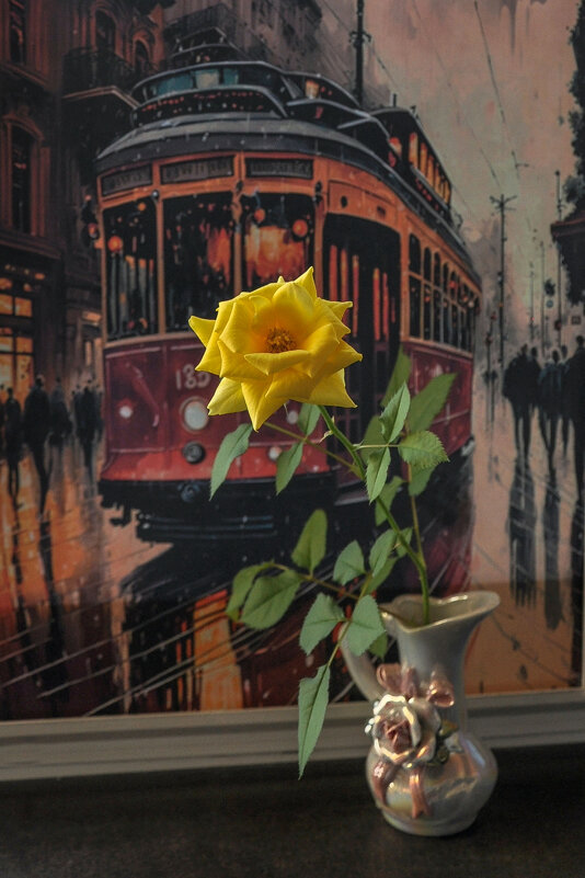 Розочка расцвела - Татьяна Машошина