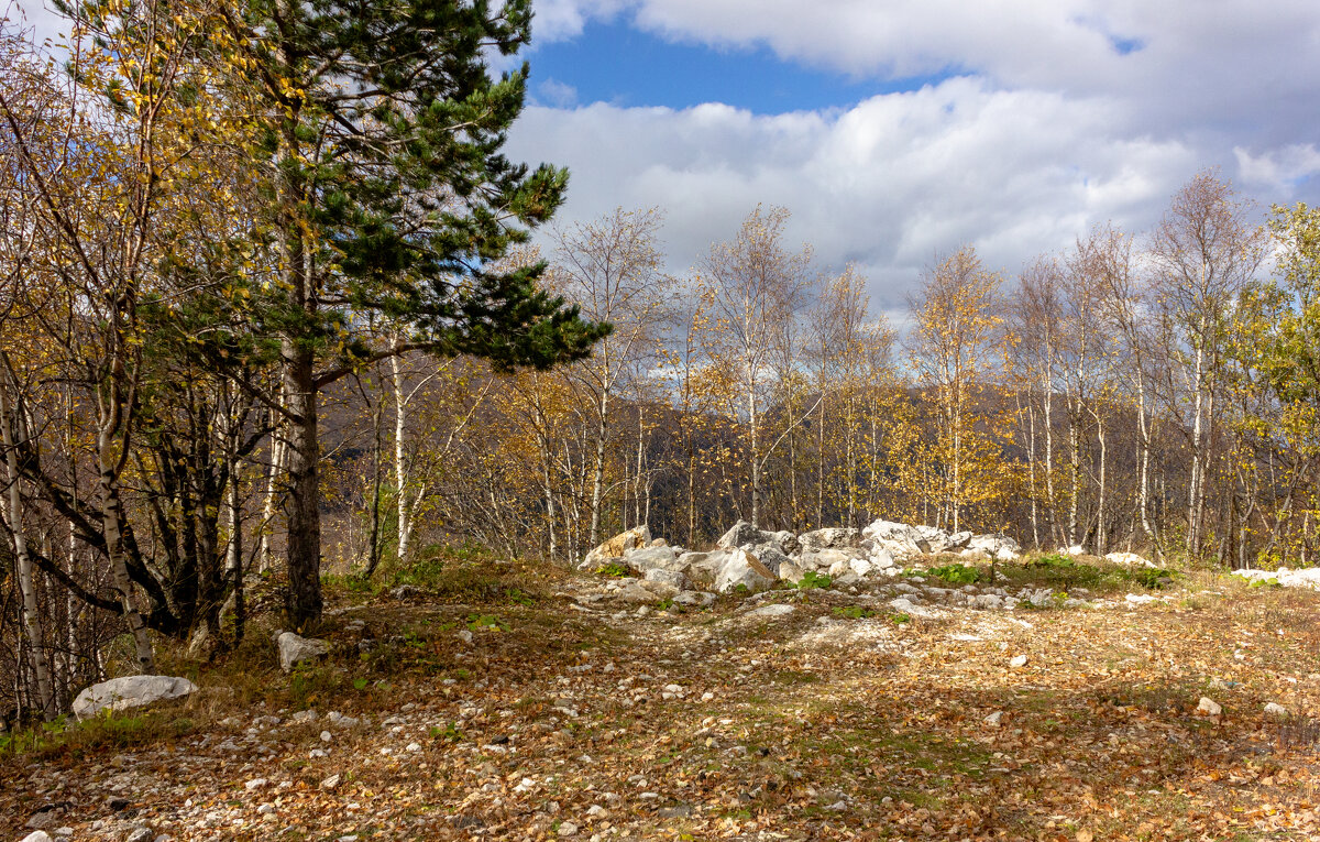 Осеннее. - ирина )))