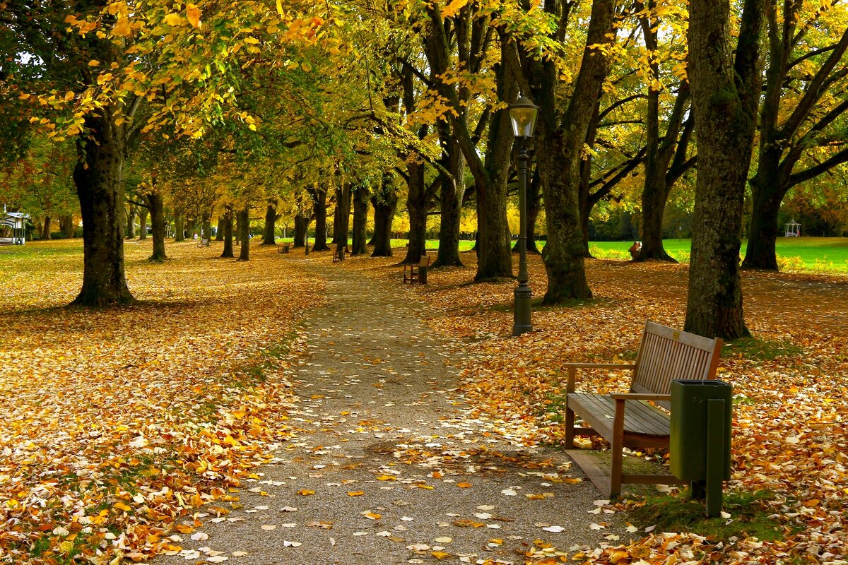 Лихтенталер аллее - Юрий. Шмаков