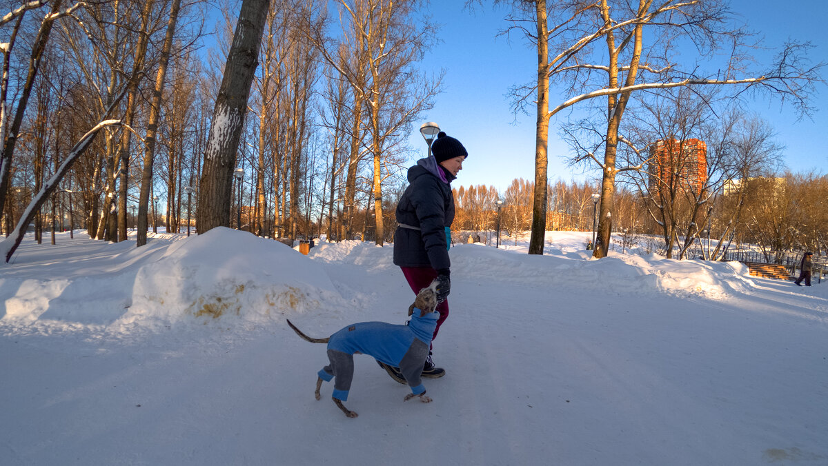 Прогулки в Зимнем Парке - юрий поляков