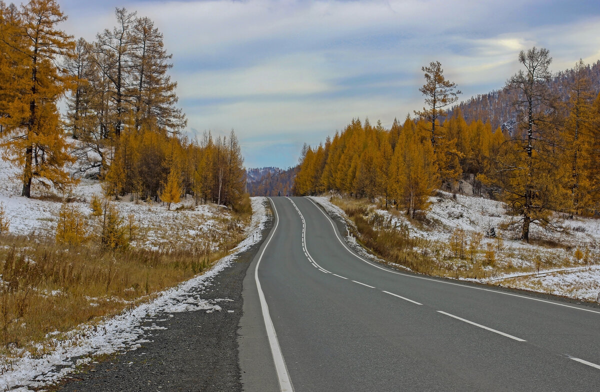 Семинский перевал - елена беликова