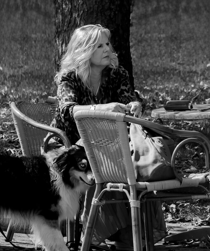 Надёжная охрана - Valziwa 