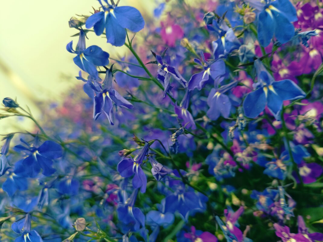 ... - Дмитрий Шароватов