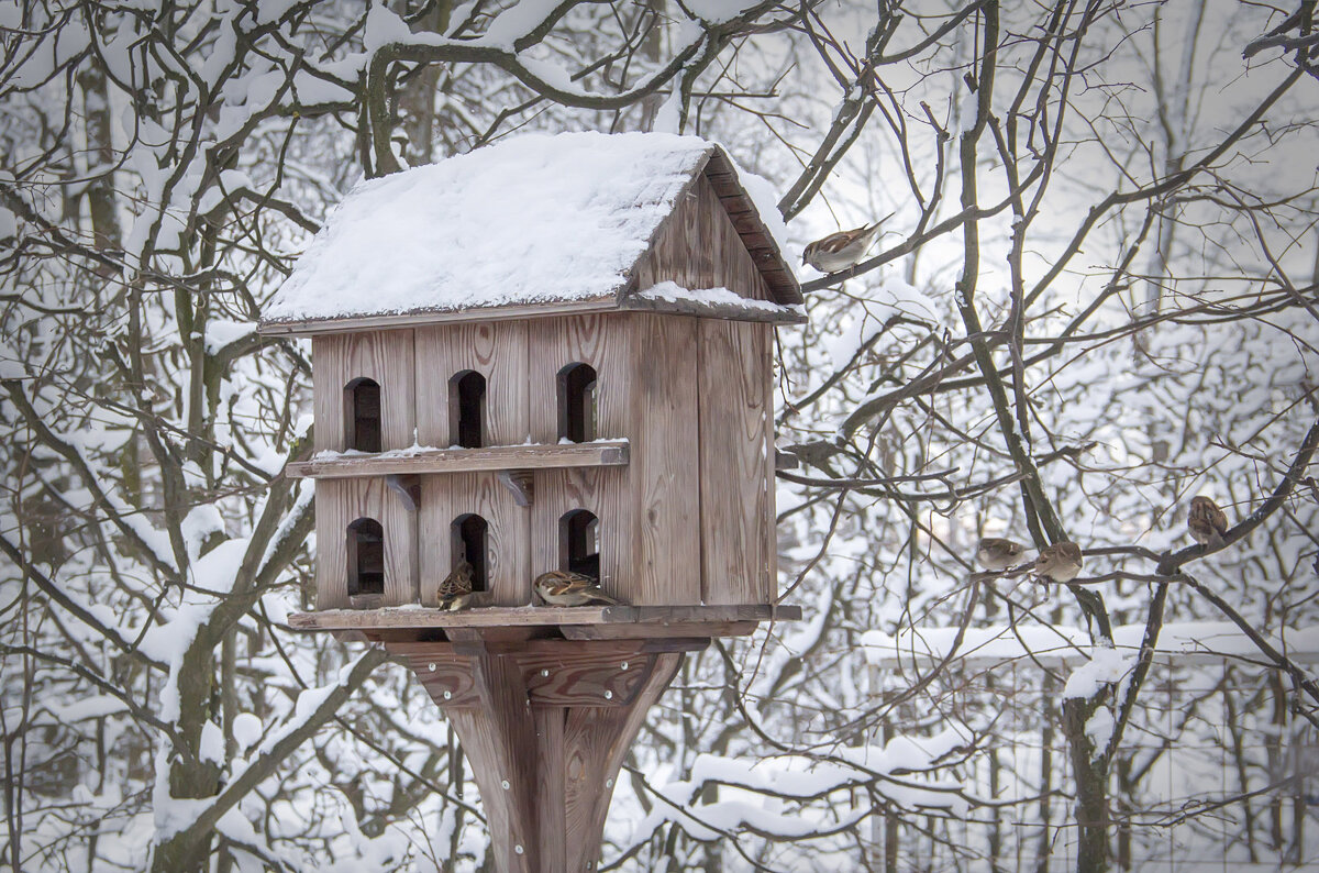 Коттедж для птичек. - Bosanat 