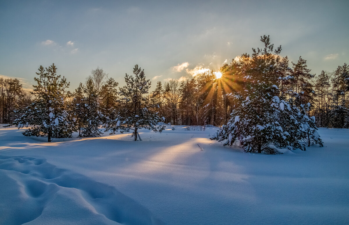 Январский вечер 4 - Андрей Дворников