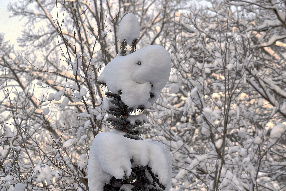 Зима нарядила в зайчика. - Татьяна Помогалова