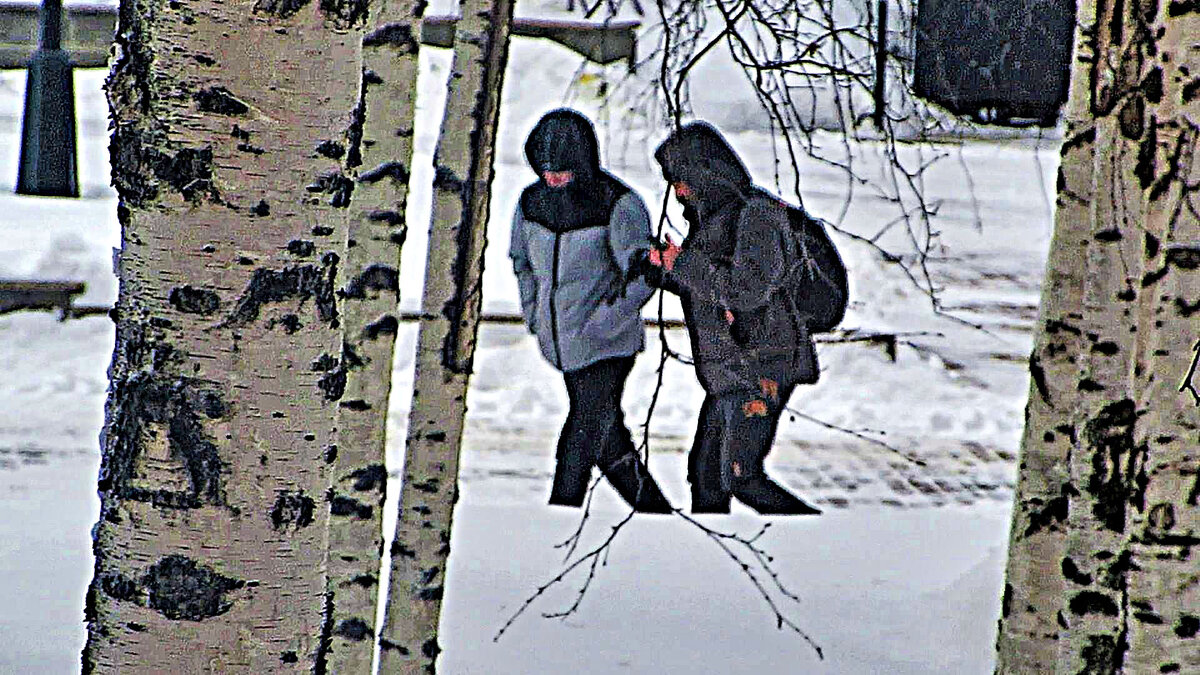 Февраль...Неразлучные друзья! - Владимир 