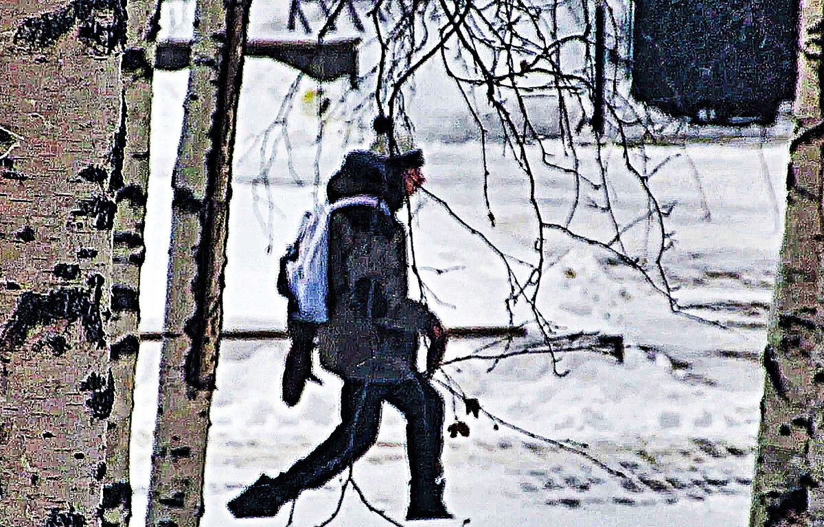 Февраль...Мальчик -инвалид торопится на уроки! - Владимир 