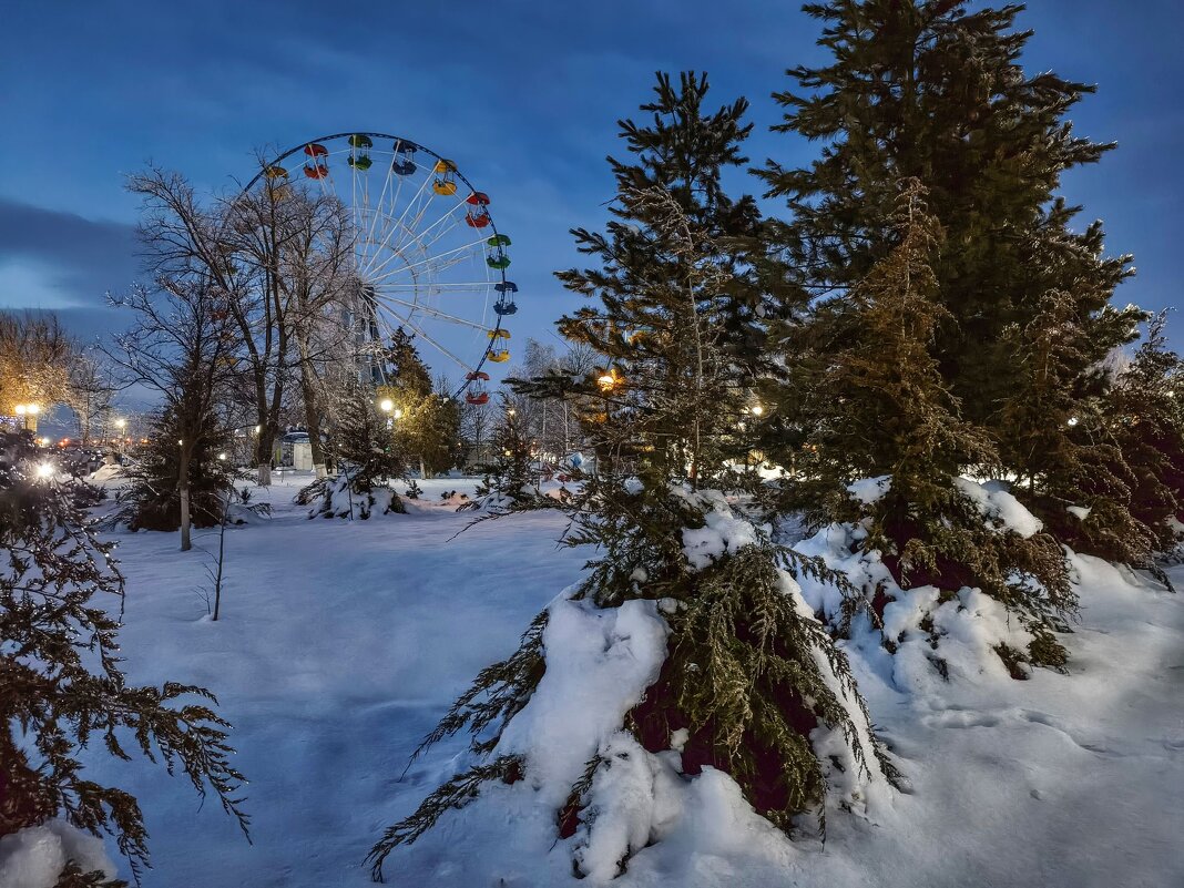 В зимнем парке - Валерий Ткаченко
