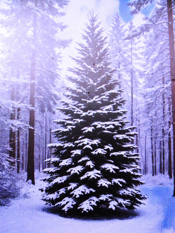 Лесная красавица - Людмила Смородинская