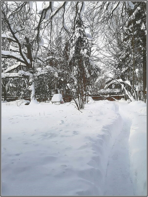 Дорожка к дому. - Ольга Довженко