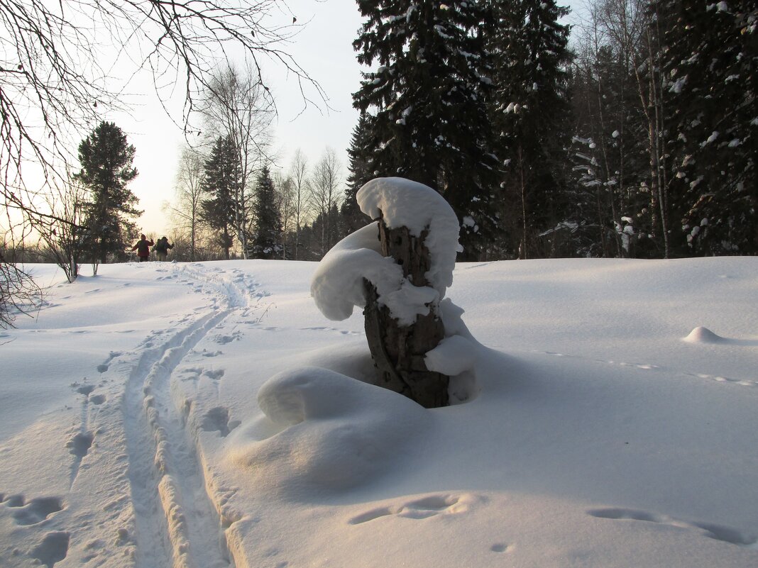 Досмотр - Galaelina ***