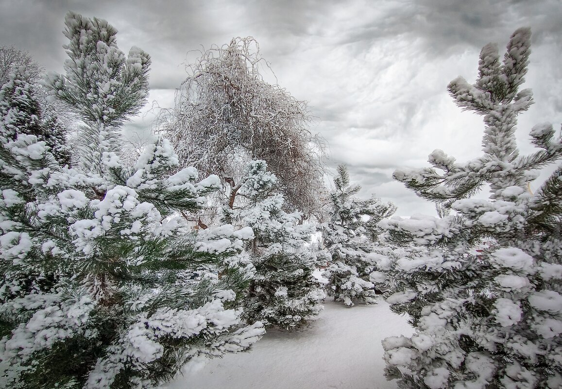 Зимнее творение природы - Ravile 