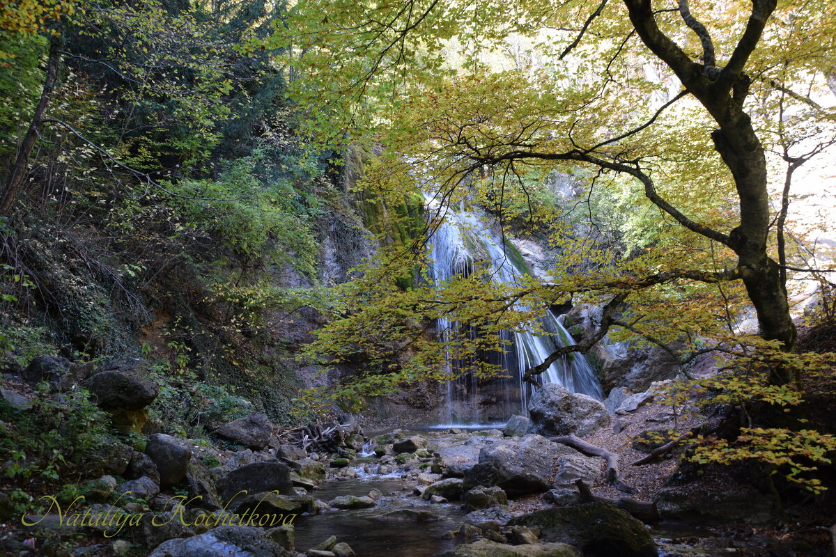 Природа Крыма - Amazing Cosmea