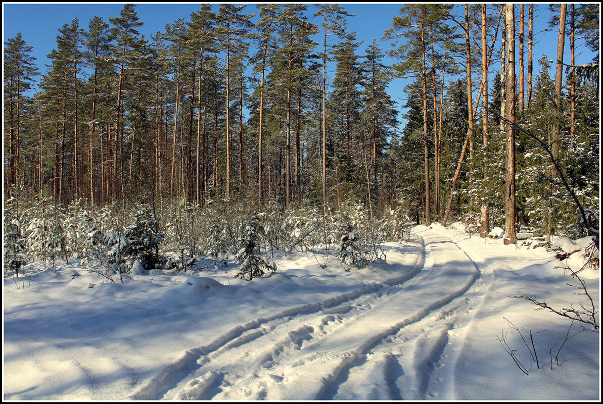 Зимняя дорога - Aleksandr Gal