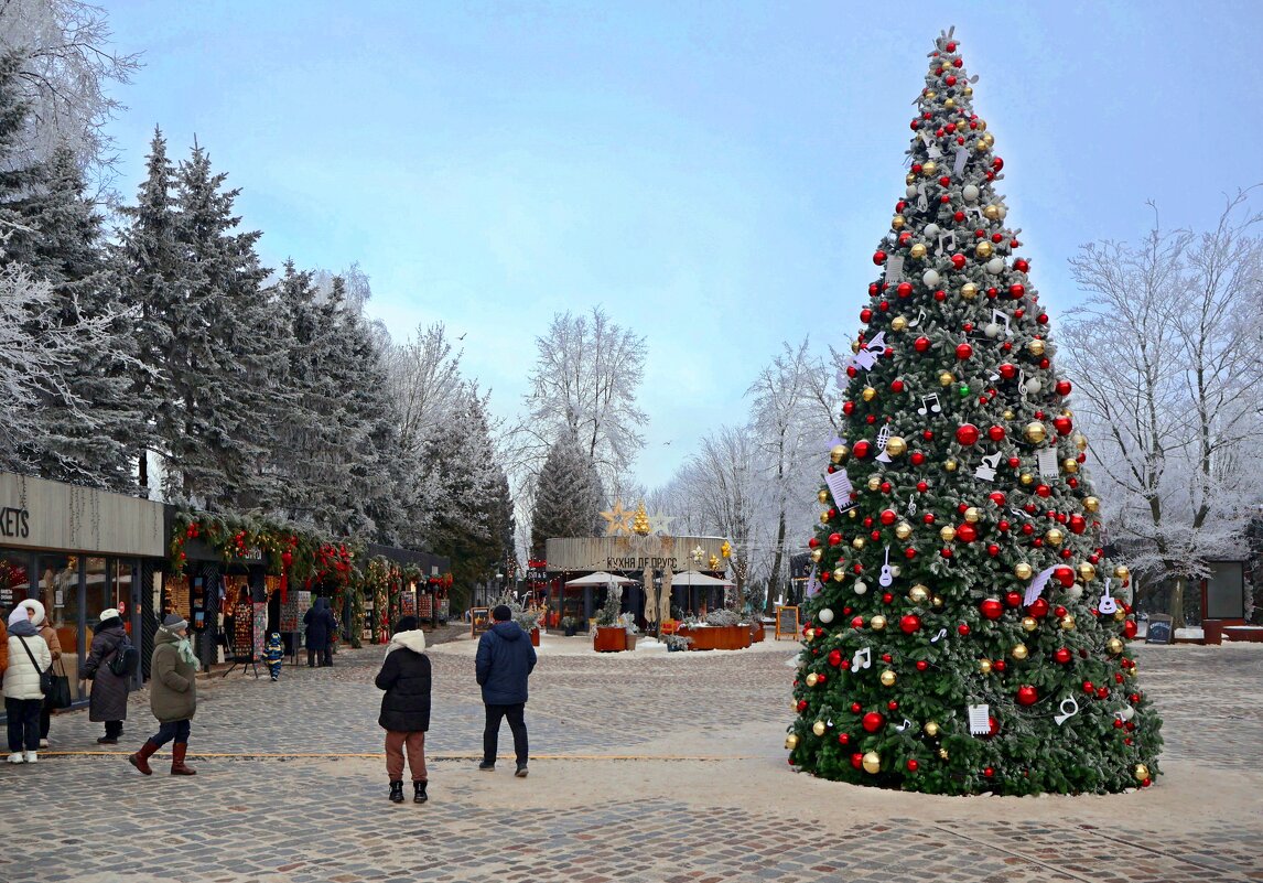 Ёлка на острове - Сергей Карачин