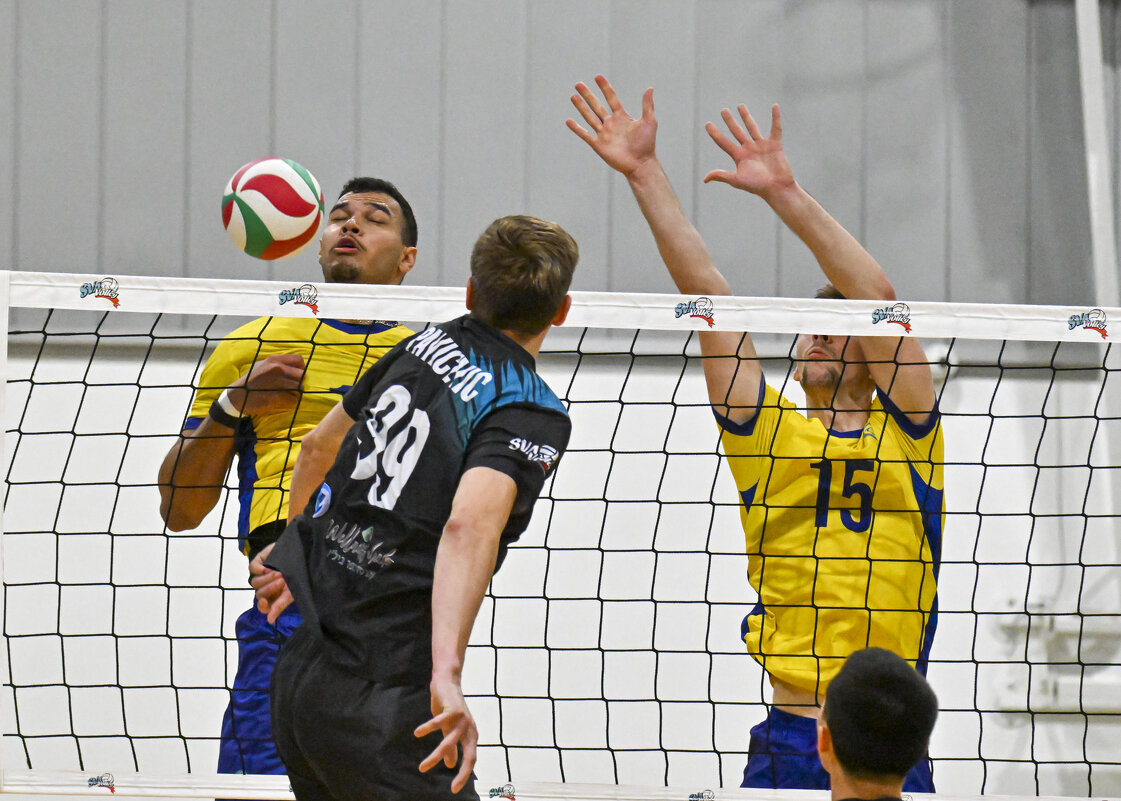 высшая лига - Осень 