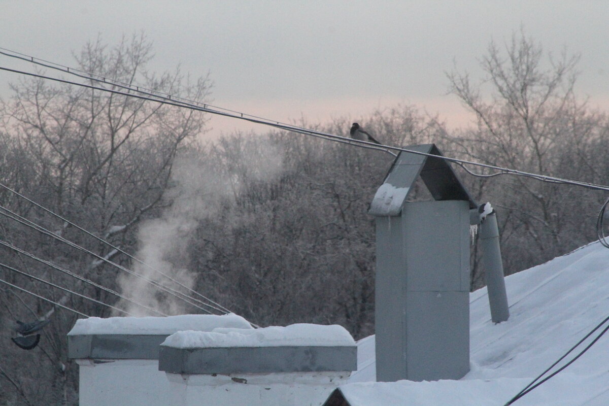 Называется Жизнь - олег свирский 