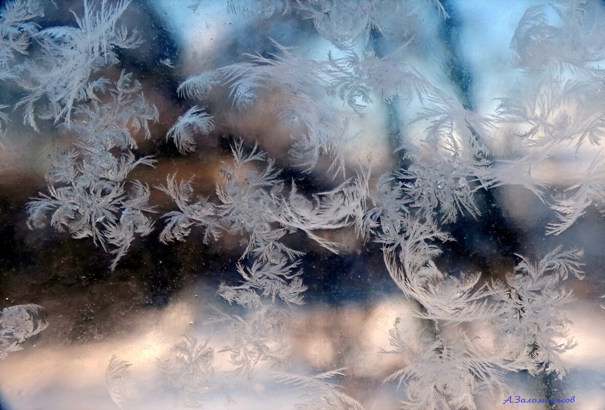Опять - с утра минус двадцать пять.. - Андрей Заломленков