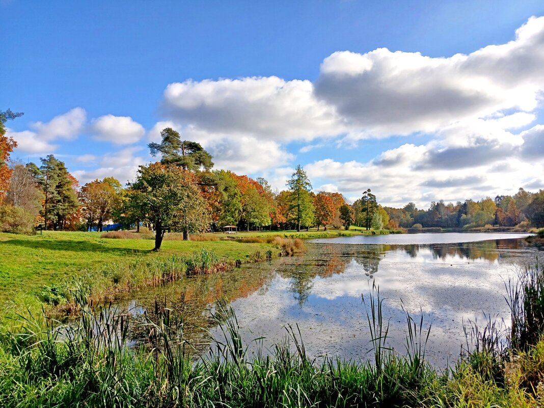 По любимым местам. - Лия ☼