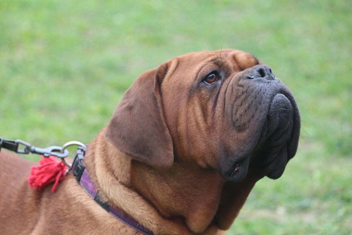 Важный - Дмитрий П