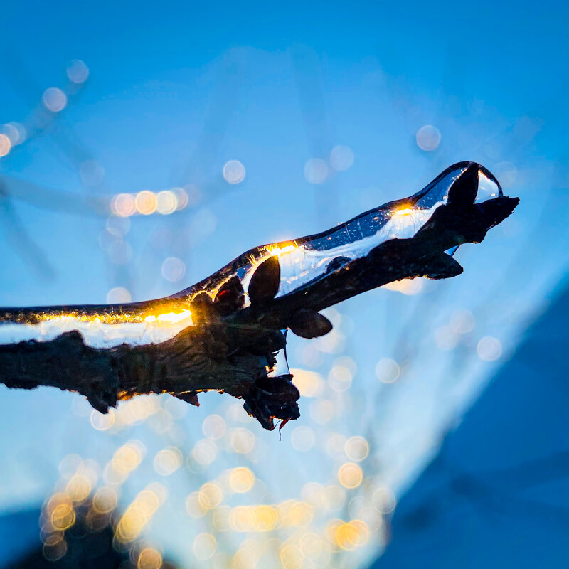 *** - Игорь Чичиль