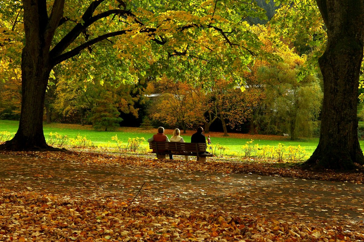 Любуясь осенью - Юрий. Шмаков