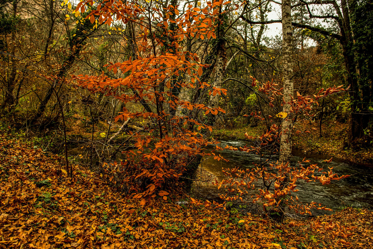 Черноречинский каньон. - Сергей Воротников