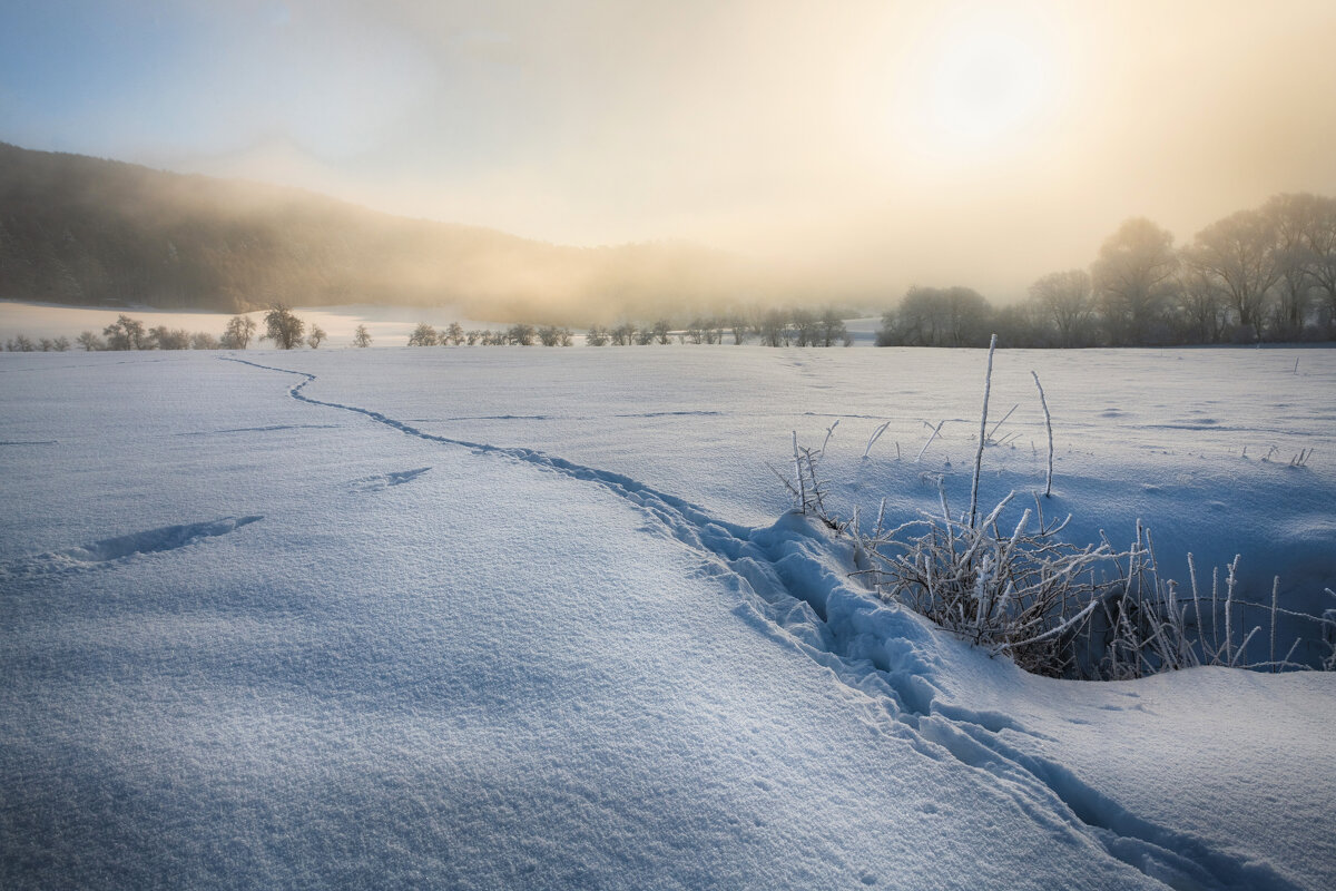 Вдут следы куда-то в даль. - Olga Ger