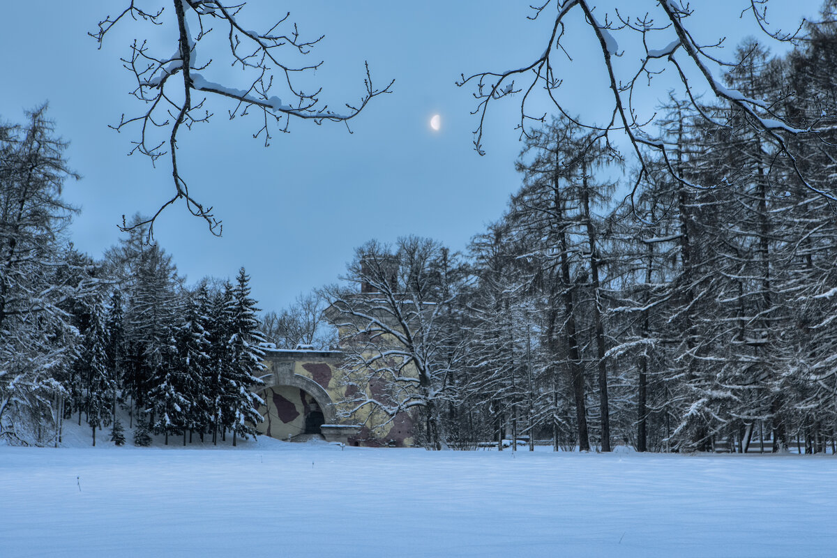 Про Питер - Владимир Колесников