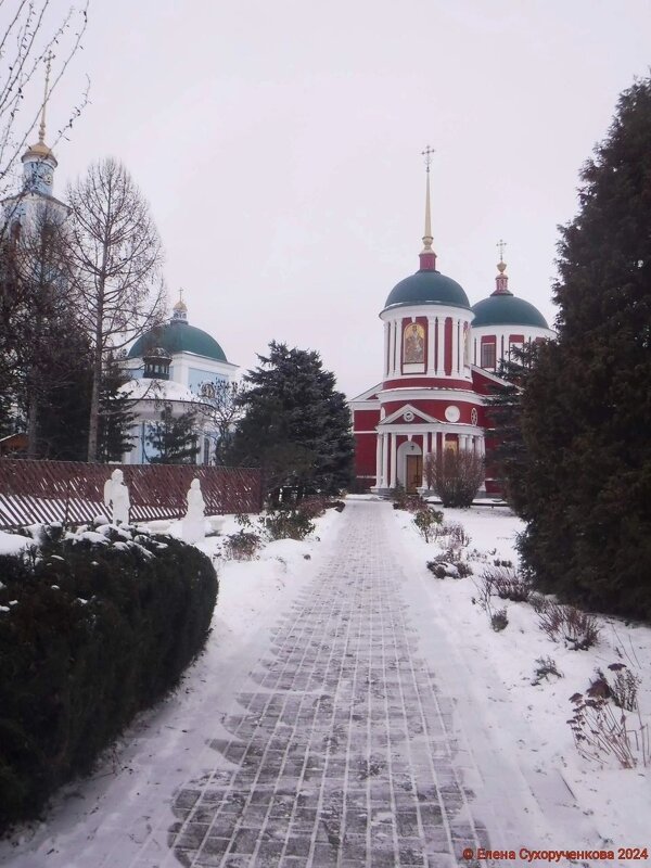 Площанская пустынь - Елена Сухорученкова