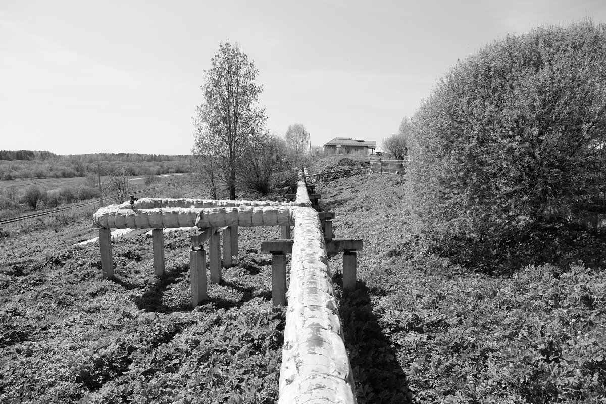 Фотография - Денис Безногов