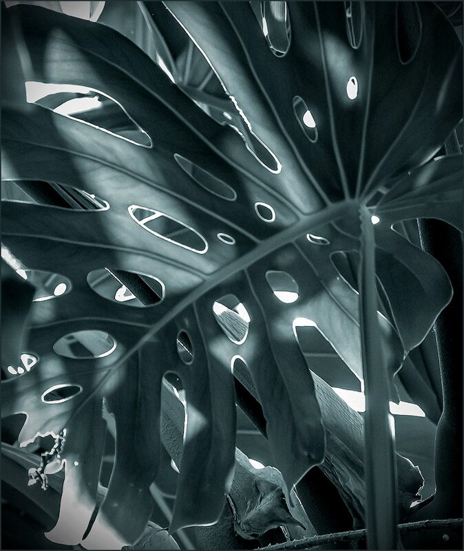 Орнаментально-растительное - Наталья Rosenwasser